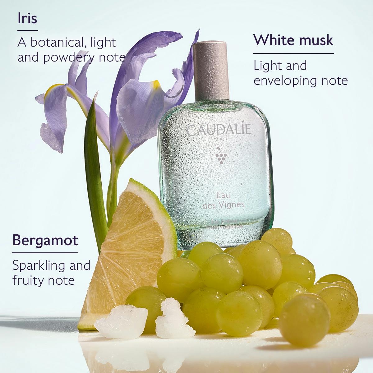 Eau des Vignes Fresh Fragrance